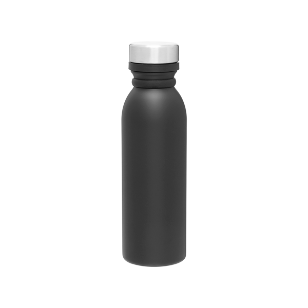 25 oz H2Go Concord Thermal Bottles